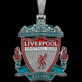 Iced Out Liverpool Embelem
